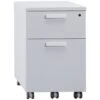 DNA Mobile 2 Drawer Pedestal 2 DNA Mobile 2 Drawer Pedestal -Officefurnitureonline Store 027823