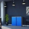 Phoenix SCL Series Steel Storage Cupboards - 2 Door 1 Shelf With Key Lock 1 Phoenix SCL Series Steel Storage Cupboards - 2 Door 1 Shelf With Key Lock -Officefurnitureonline Store 104686